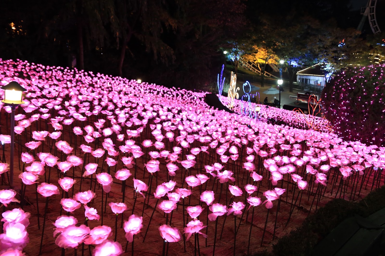Korea’s Biggest Light Festival Eworld’s Starlight Festival!