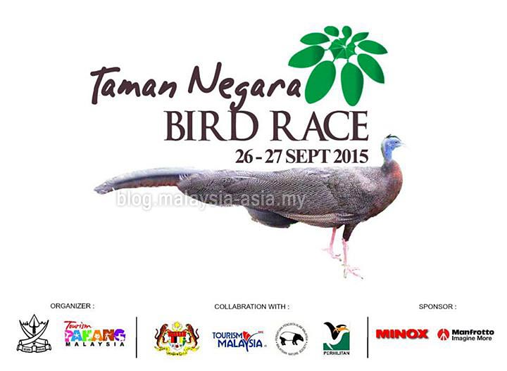 Taman Negara Bird Race Taman Negara Bird Race 2015