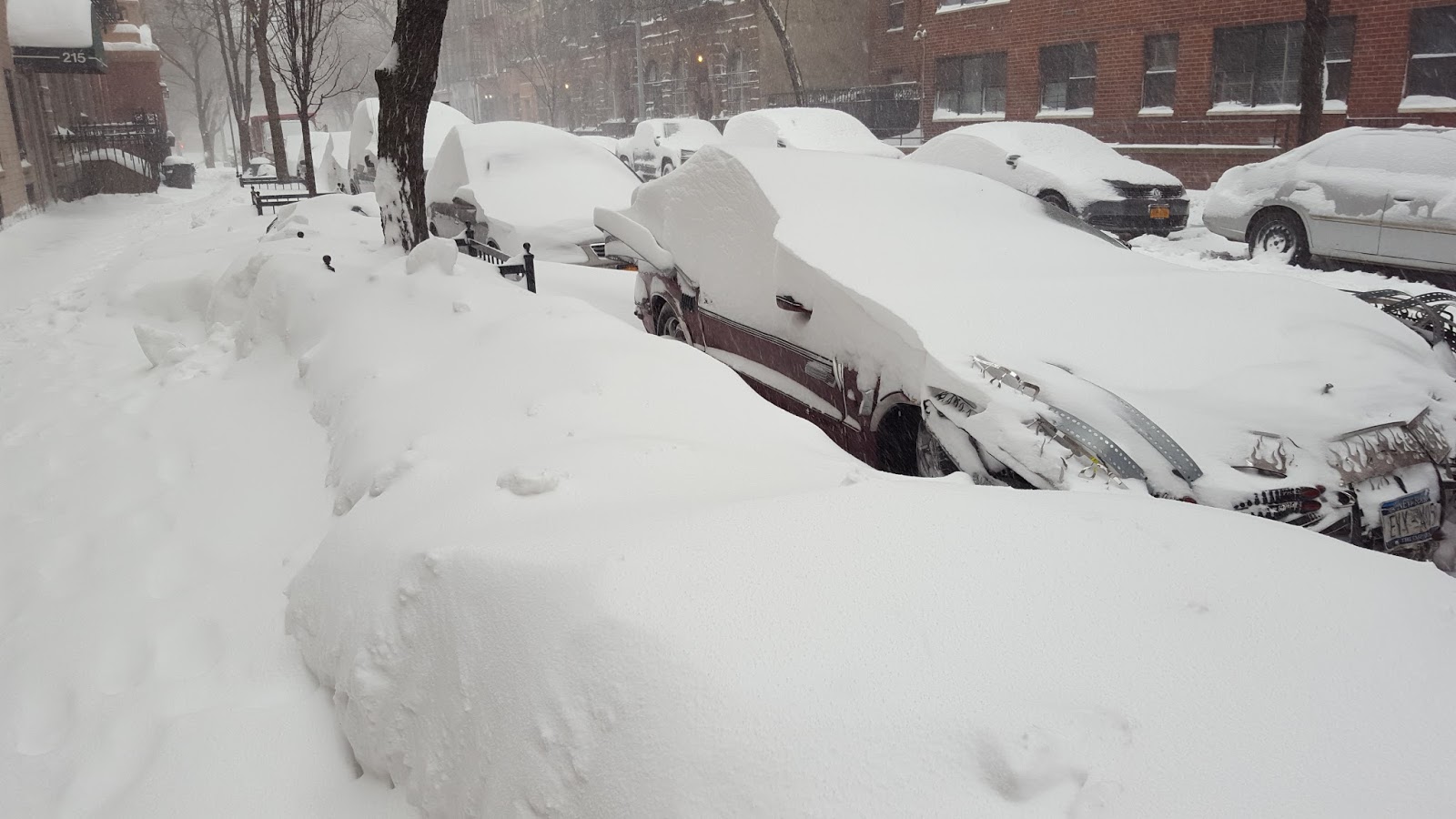 Travel Ban Nyc Blizzad Travel Ban Nyc Blizzad
