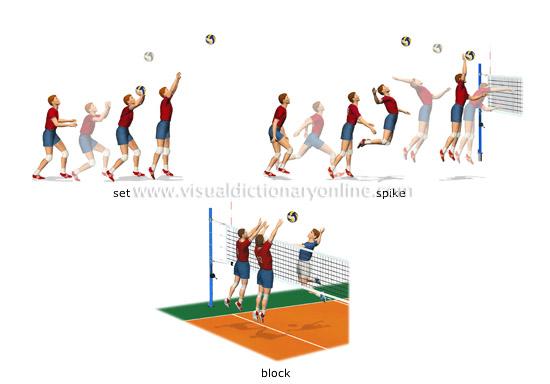 EDUCACIÓN FÍSICA I.E.S. EL PALO (MÁLAGA): Volleyball rules