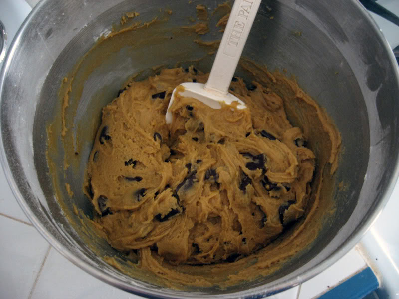 Chewy Molasses Chocolate Chip Cookies Fresh from the...