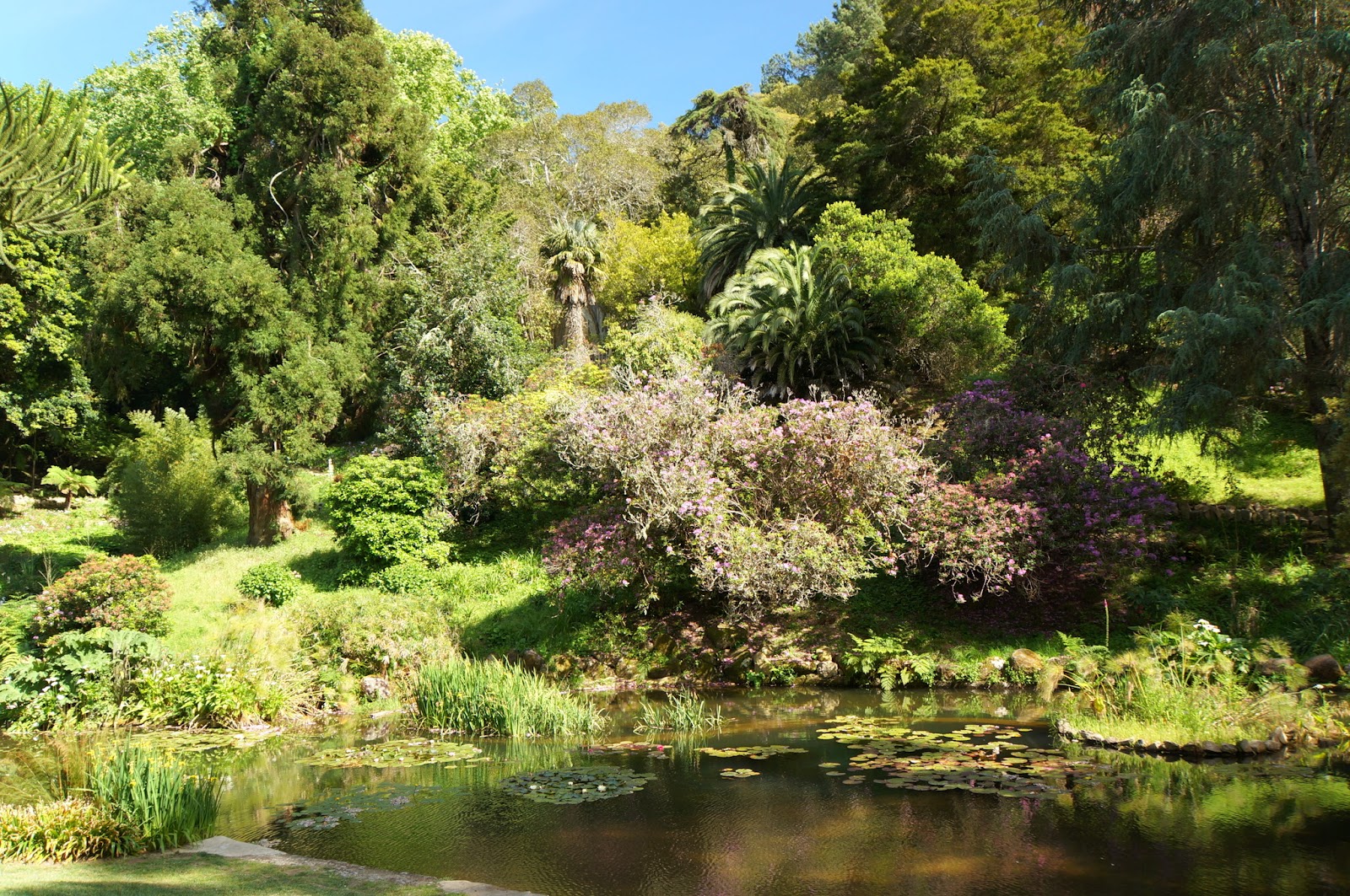 Palais de Monserrate - Sintra - Portugal