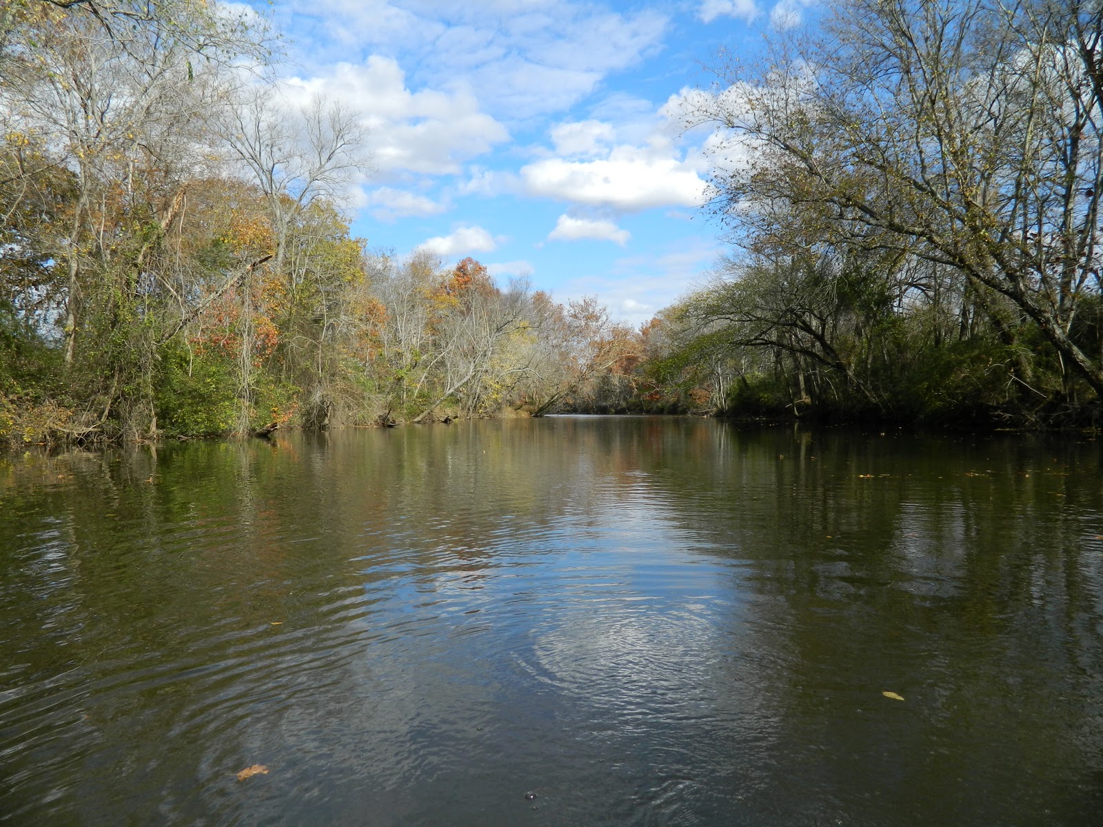 Paddle Tennessee Duck River Cortner Mill to ThreeForks Bridge