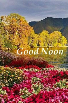 Good Afternoon Good Afternoon