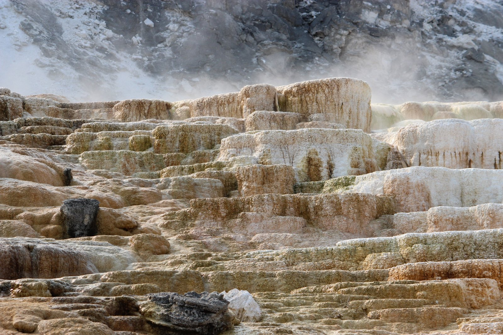 Grobe Anglers And Adventures Mammoth Hot Springs Yellowstone National