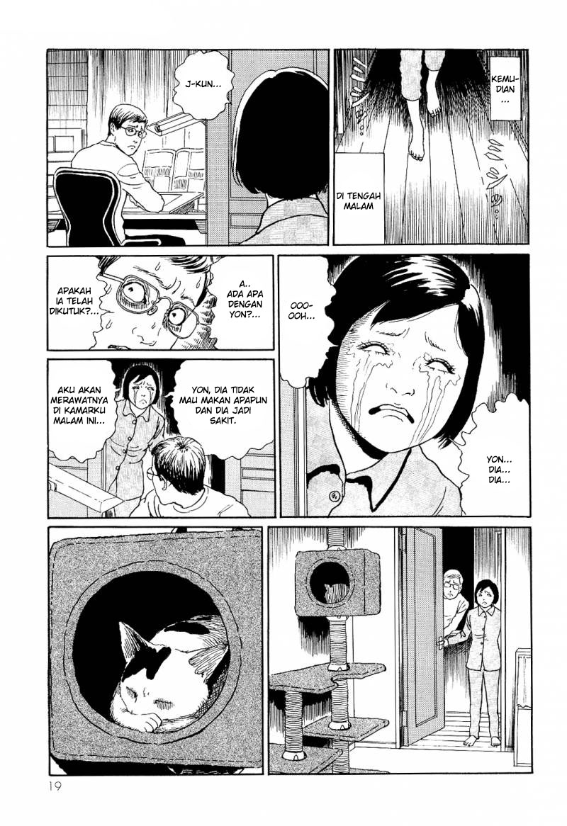 Baca Komik Junji Ito Cat Diary Bahasa Indonesia [Chapter 2] Manga Coin