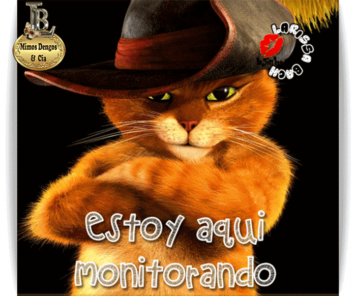 anigifgatodebotas2.gif