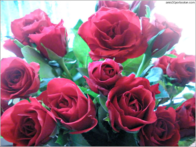 Rosas Regalo de San Valentín