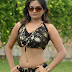 Payal Shetty in Dhool Spicy Photo Set 