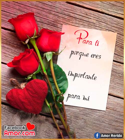 rosas rojas con mensajes amor