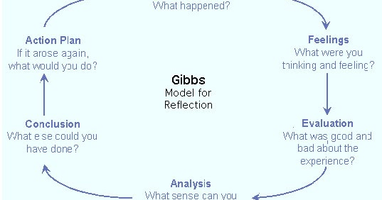 hogan 1995 said reflection model