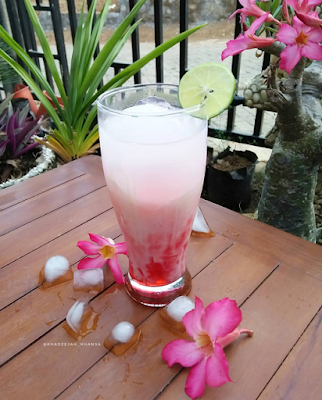 https://www.cecep345.com Es kelapa jeruk nipis