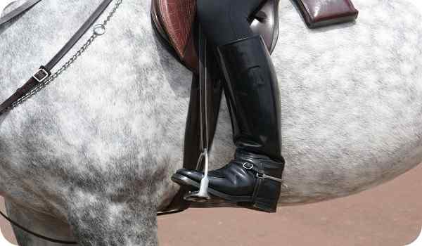horseback riding boots for women