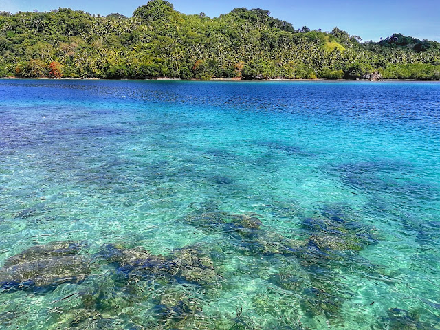 tagbak marine sanctuary liloan southern leyte