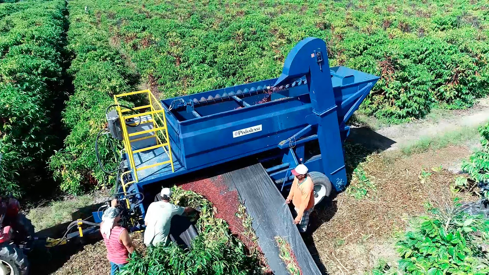 Pinhalense apresenta recolhedoras em condições especiais para cafeicultores do Espírito Santo Pinhalense apresenta recolhedoras em condições especiais para cafeicultores do Espírito Santo