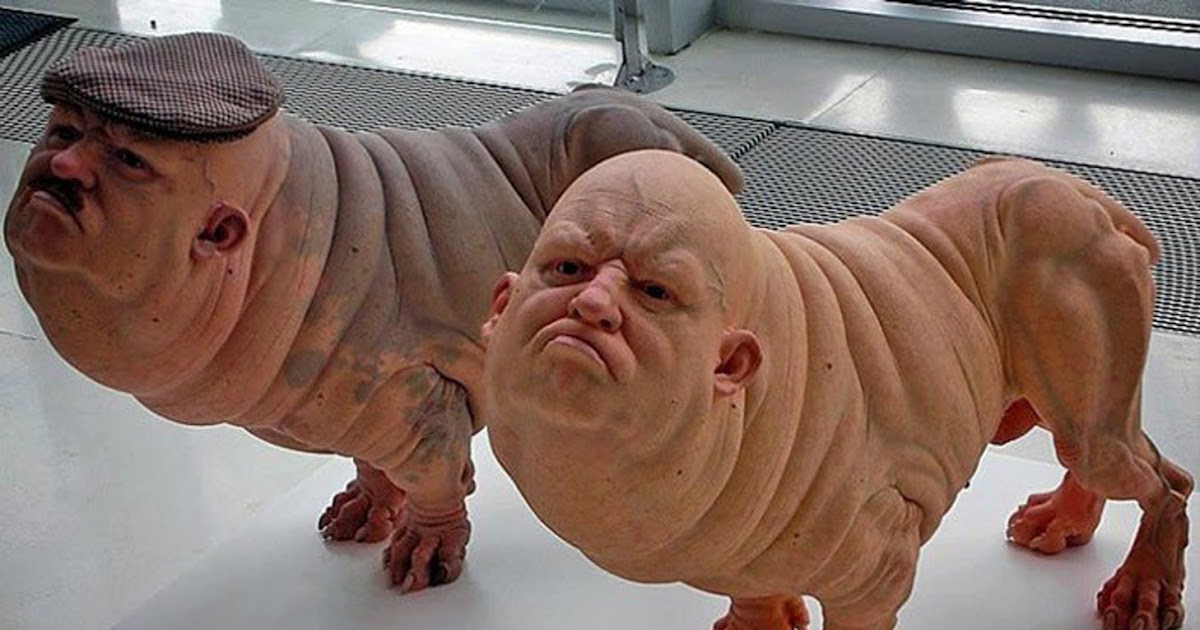 After Breeding Your Dog After Breeding Your Dog