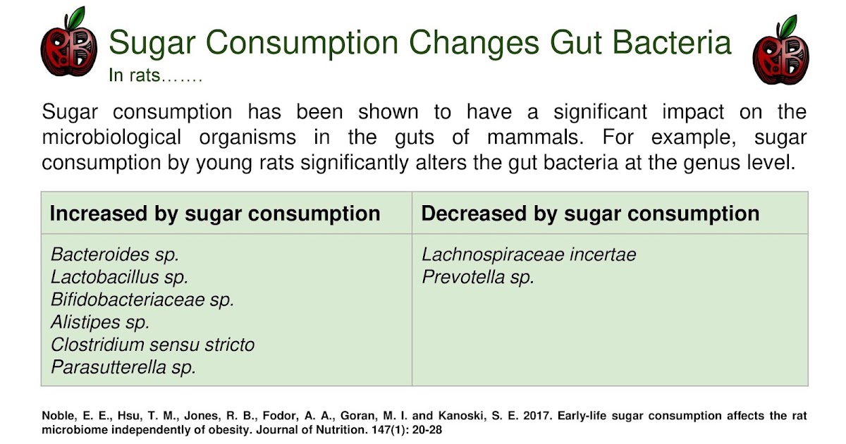 Sugar Consumption Changes Gut Bacteria In Rats