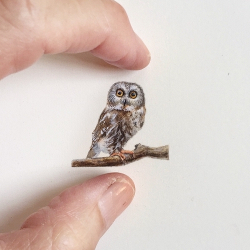 12-Owl-Karen-Libecap-Star-Wars-&-other-Miniature-Paintings-and-drawings-www-designstack-co