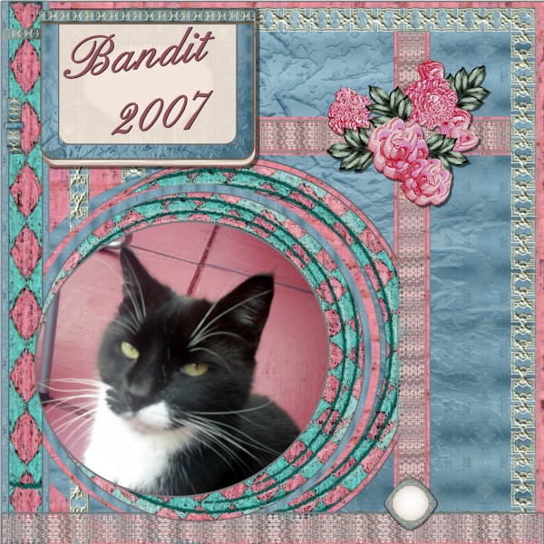 Feb. 2016 – Bandit – 2007.