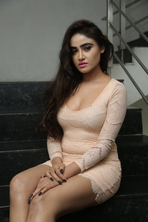 Sony Charishta at Rapture 2017 Grand Logo Launch