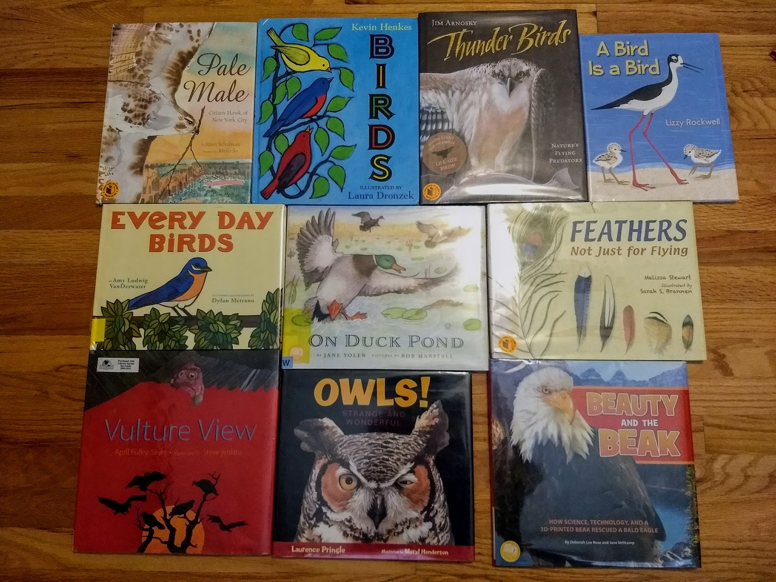10 Fabulous Picture Books about Birds to Read-aloud ~ Eco-novice