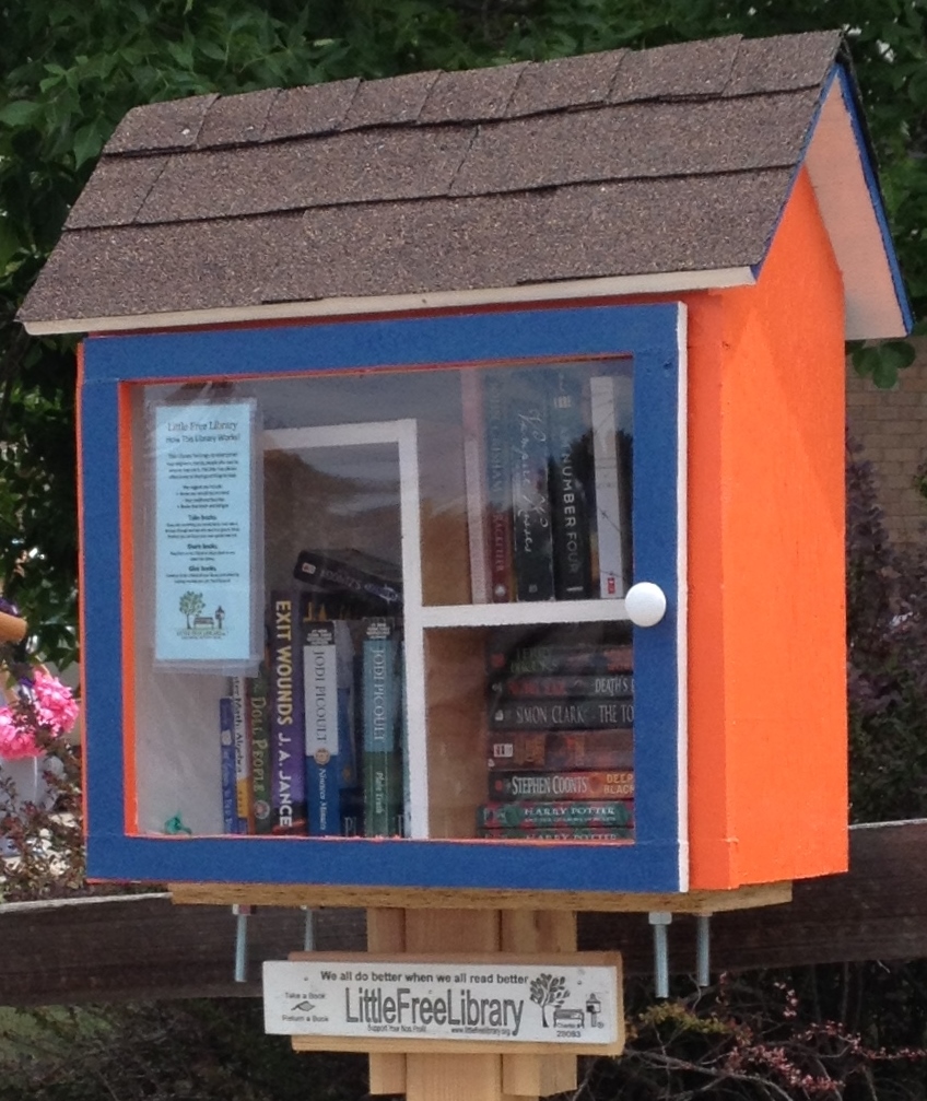 Roaming Rita: Little Free Libraries