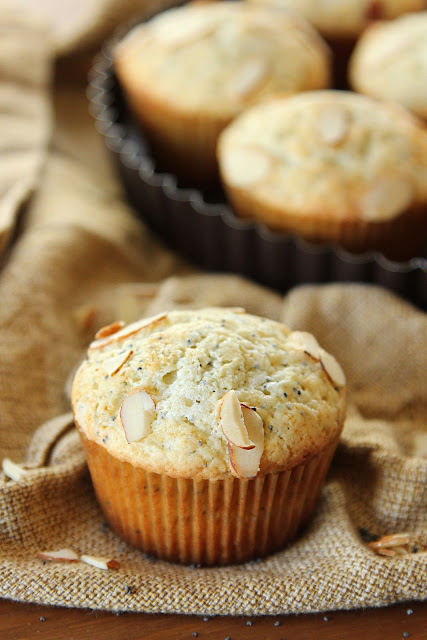 One standard size almond poppy seed muffin in front of a tart pan full of muffins