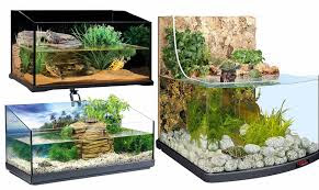 Aquarium Khusus Kura-Kura