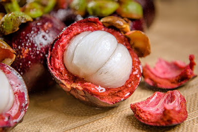 Ciri Ciri, Kandungan & Khasiat Buah Manggis Bagi Kesehatan Lengkap