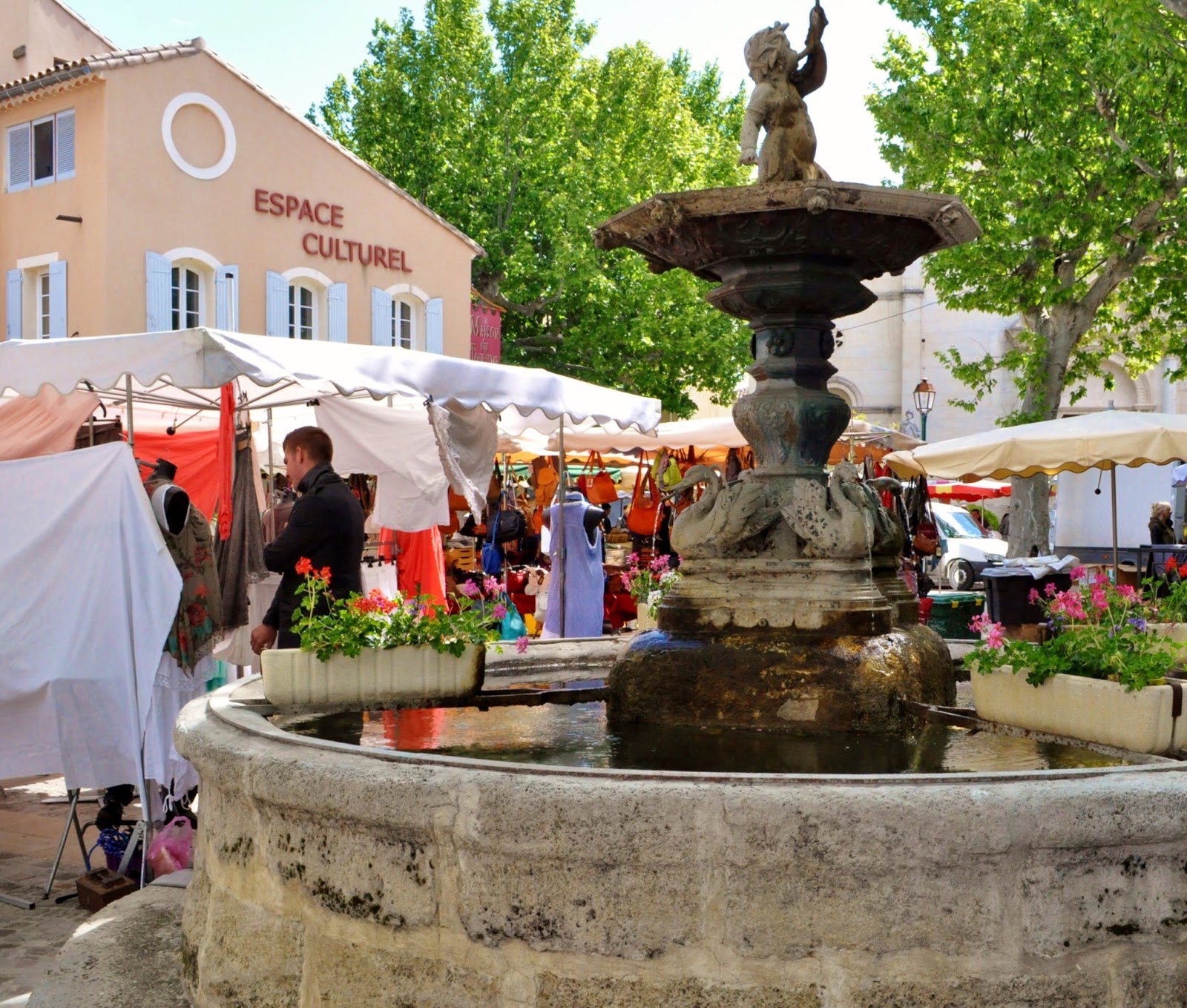 Our House in Provence, the Most Beautiful Region of France SainteCécilelesVignes, home to