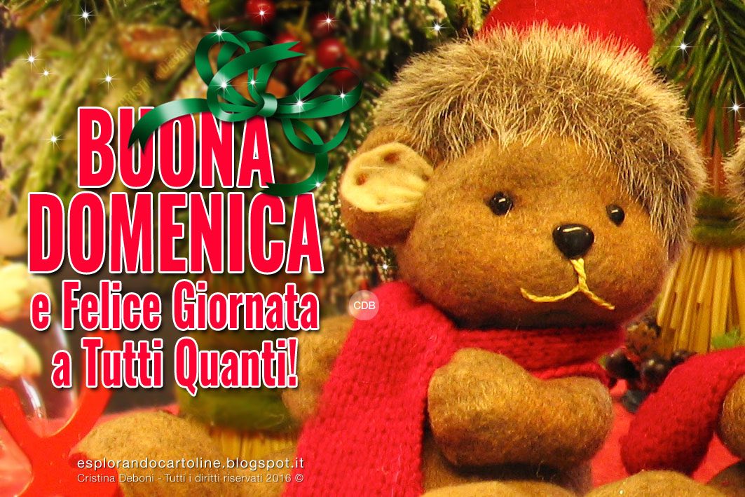 Cdb Cartoline Per Tutti I Gusti Cartolina Buona Domenica E Felice Giornata A Tutti Quanti Con Immagine Di Orsetto Natalizio Da Scaricare Gratis