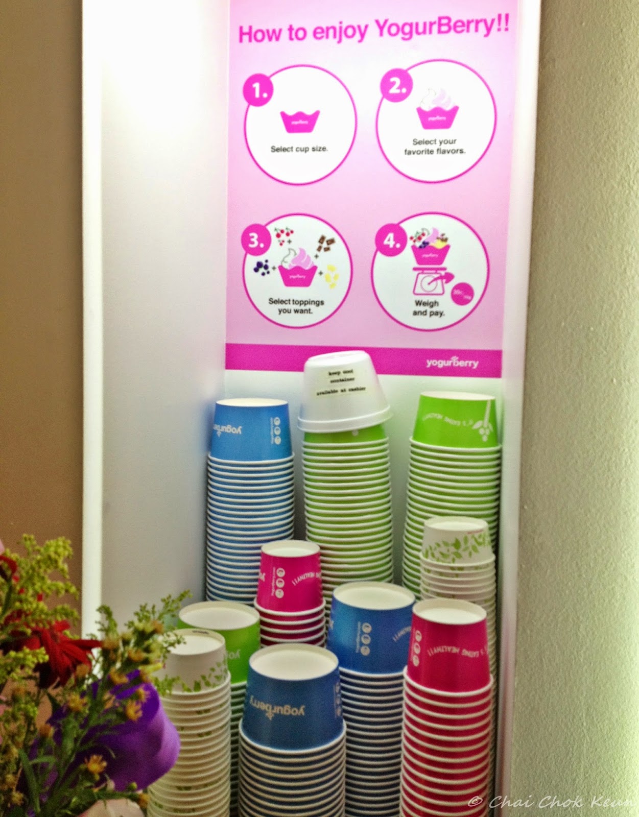 YogurBerry The Healthy Frozen Yogurt