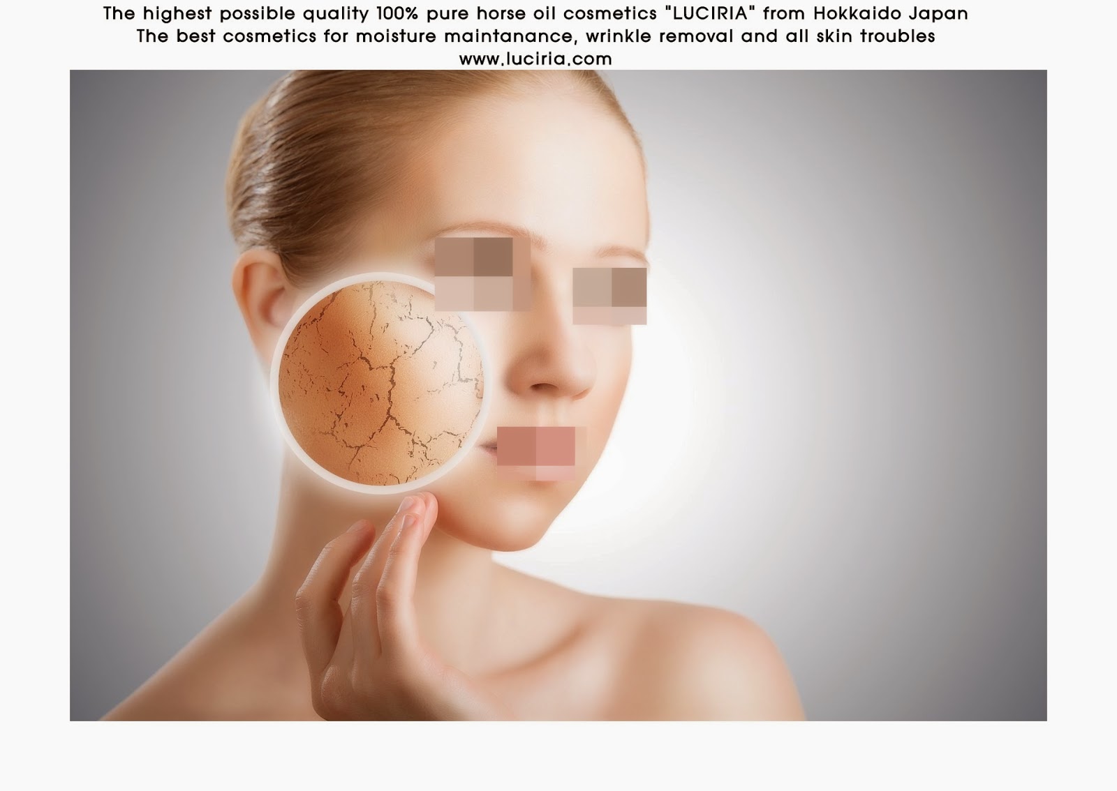 The Best Horse Oil Cosmetics