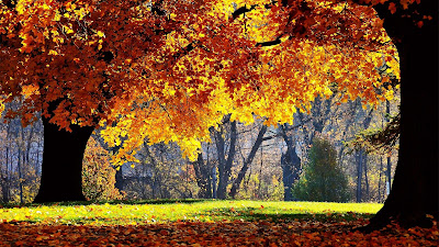 HD Autumn Wallpapers 