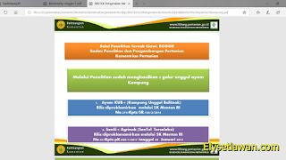 download materi bimtek ayam kub download materi bimtek ayam kub lengkap