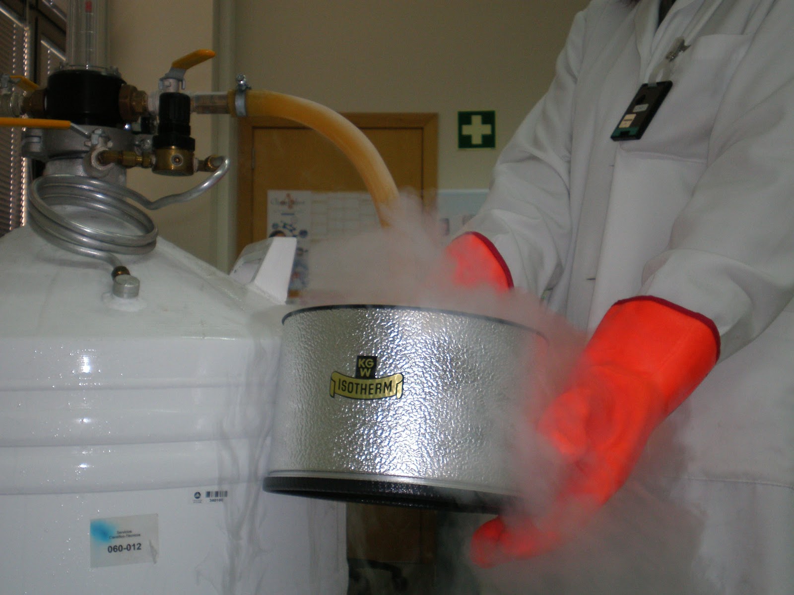 BienEstar El Nitrógeno Líquido