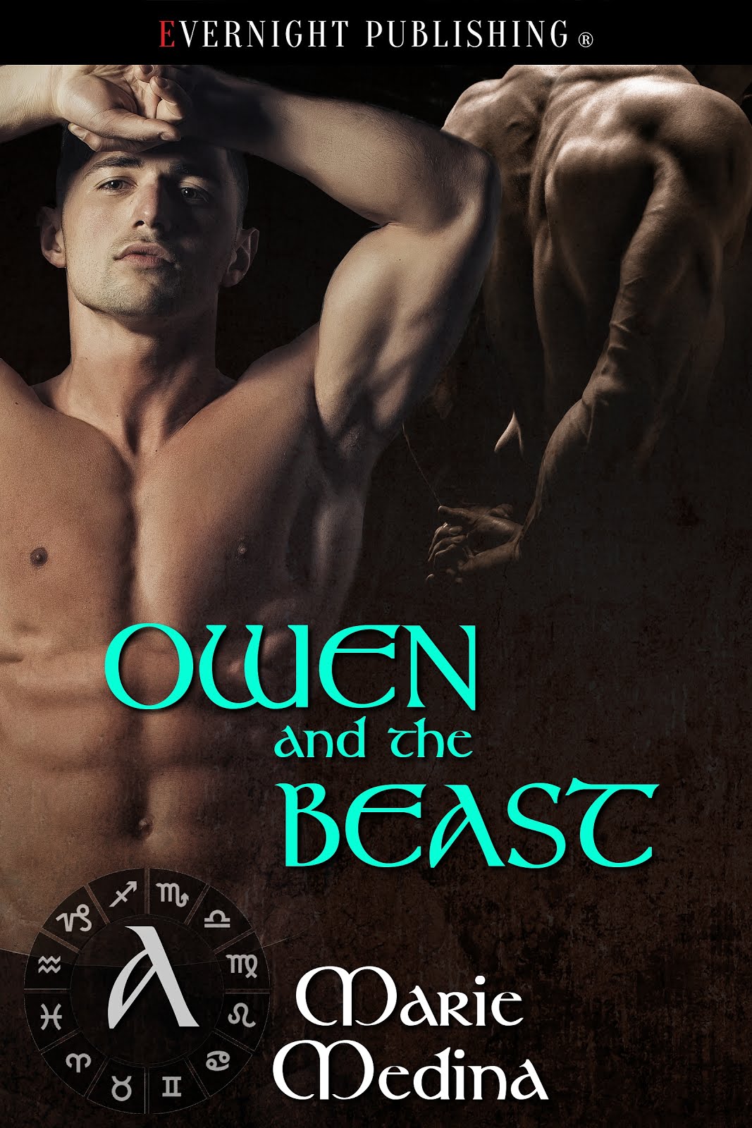 Owen and the Beast (Valladora Tales 2)