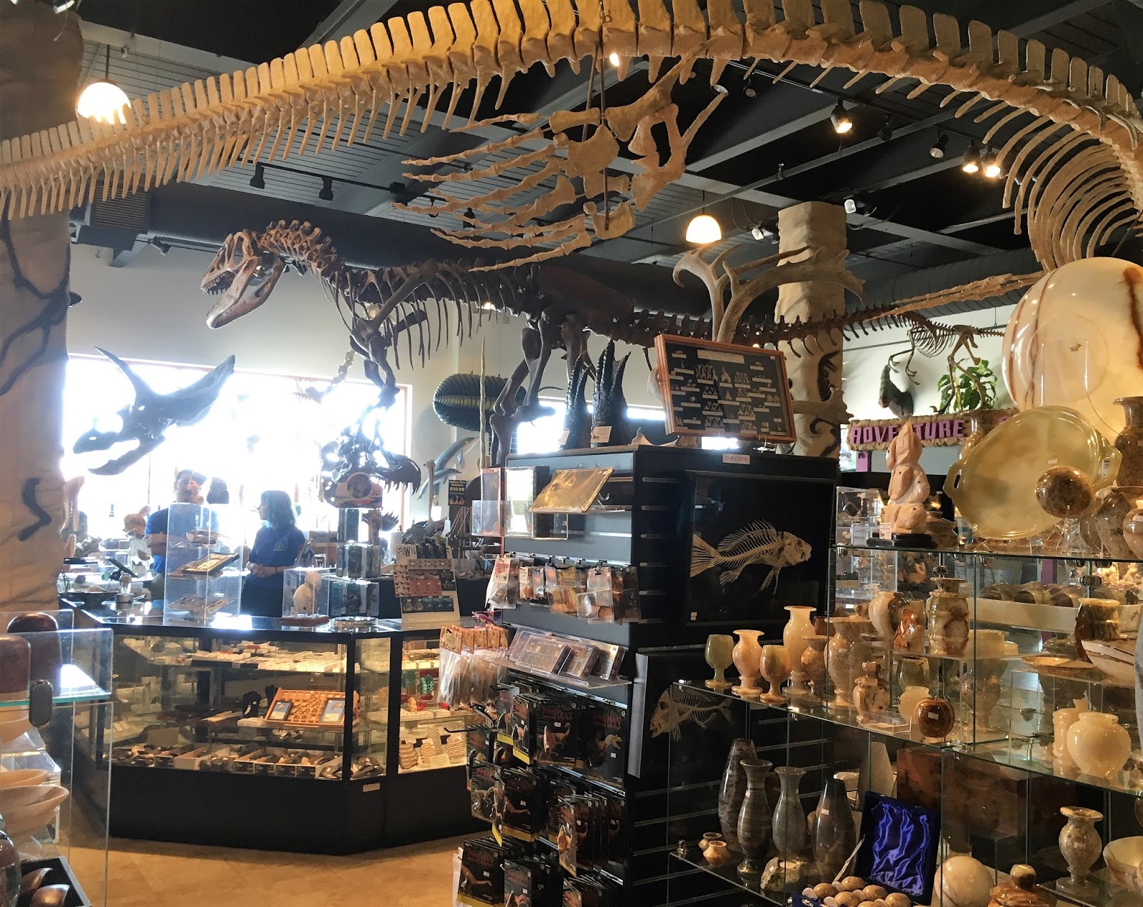 Meet Me in the Gift Shop Museum of Dinosaurs and Ancient Cultures