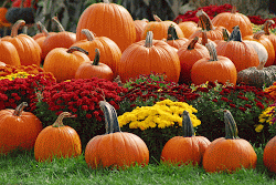 mums september fall display pumpkins pumpkin flowers desktop backgrounds autumn scenes background mum scene displays festival