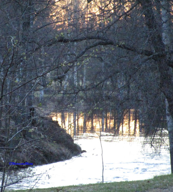 Vantaanjoki, Nukarinkoski