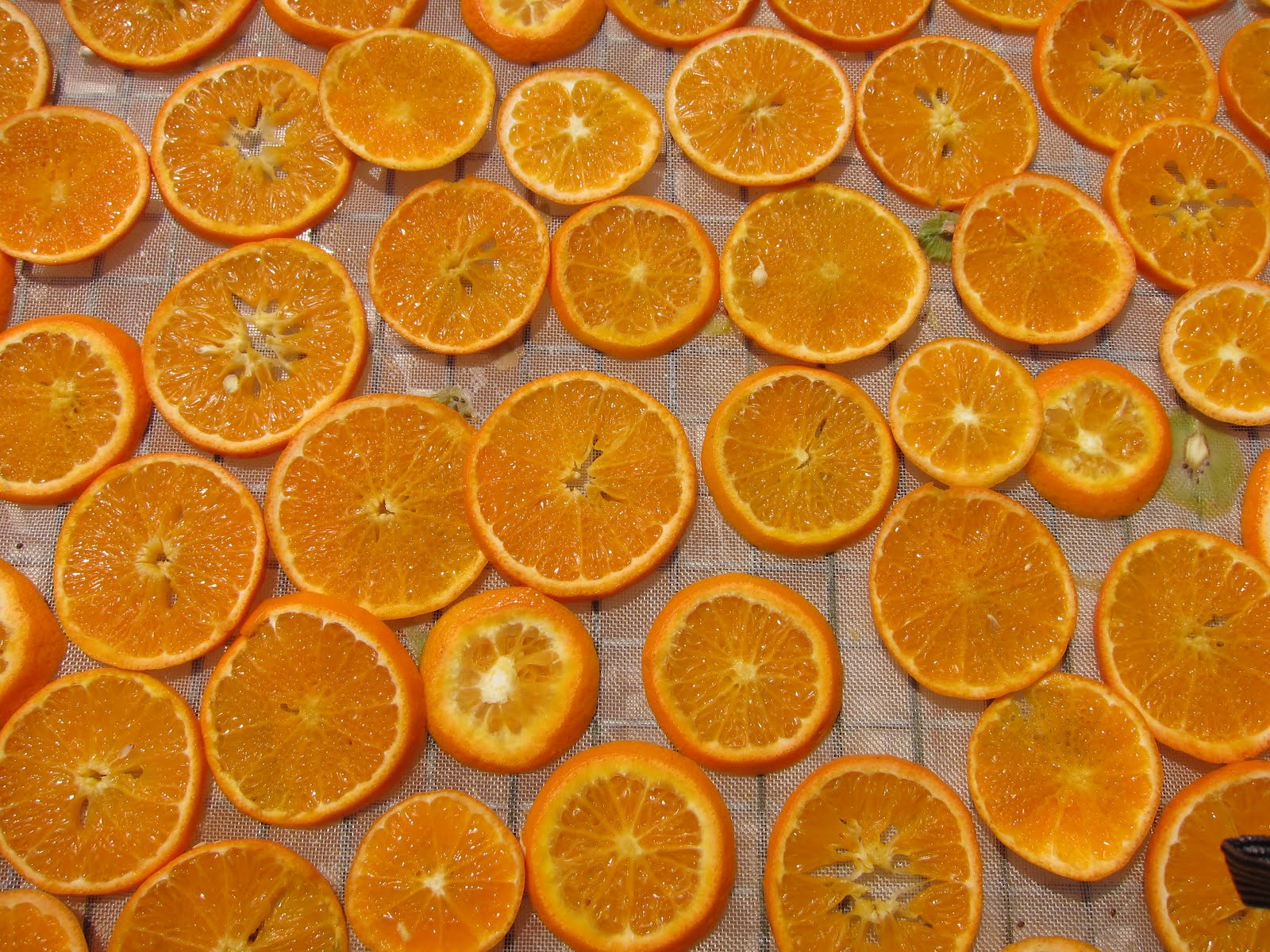 Cut and Dried... Minnie's Dried Fruits & Vegetables Minnie's Dried