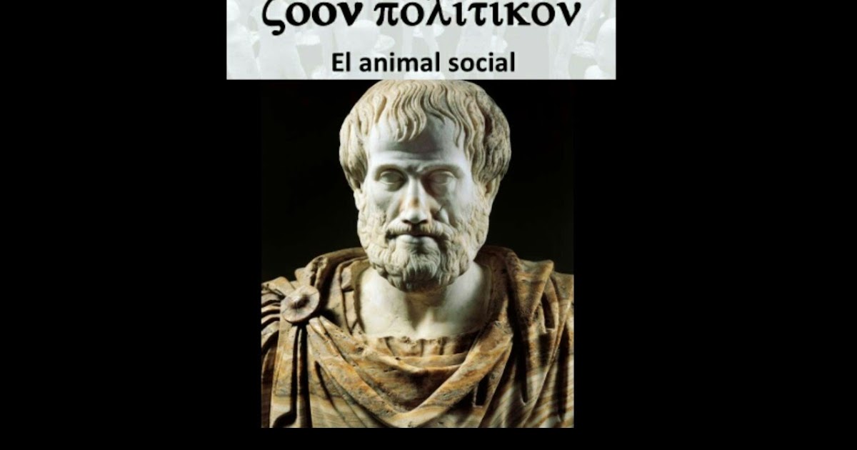 Teor a De Zoon Politikon