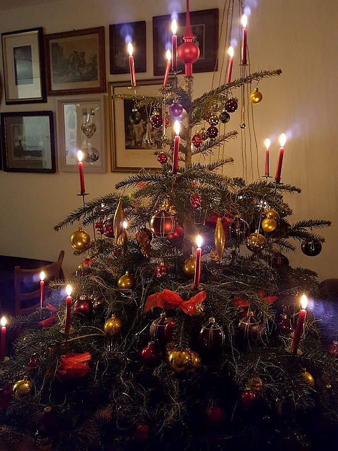 Großartig Zimmerlinde Im Wohnzimmer