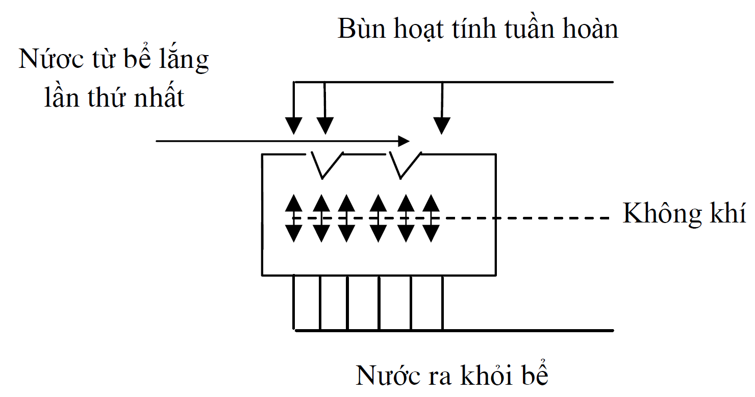 Bể aerotank là gì  Oxy trong bể bao nhiêu là lý tưởng  Flash CT
