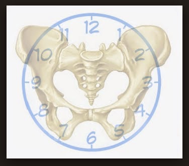 RENO FELDENKRAIS INTEGRATIVE MOVEMENT – move better, feel better, live