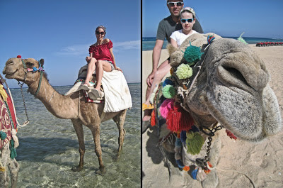 Giro cavallo cammello Fantazia Marsa Alam 2013 rebeccatrex