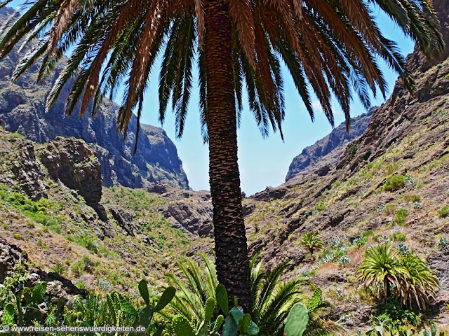 Ein tolles Ausflugsziel auf Teneriffa Ein tolles Ausflugsziel auf Teneriffa, Ausflüge nach Masca, Ausflug in die Mascaschlucht