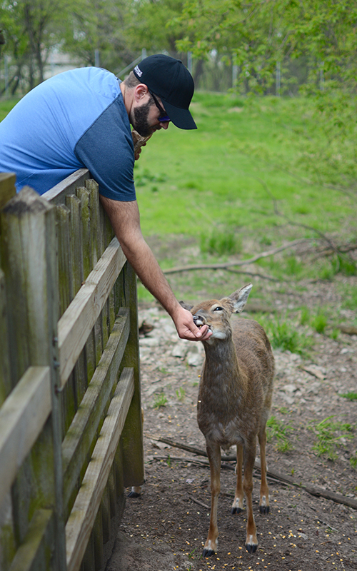 Bay Beach Wildlife Sanctuary | My Darling Days Bay Beach Wildlife Sanctuary | My Darling Days