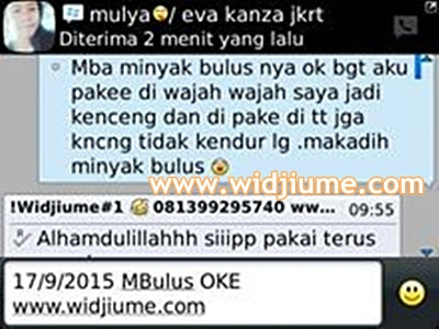 Minyak bulus membuat wajah kencang dan tidak kendur