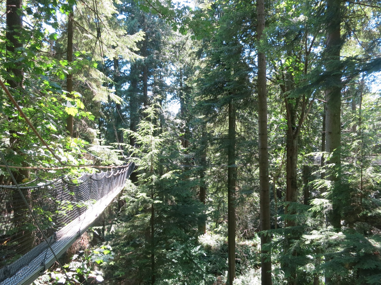UBC Botanical Garden and Canopy Walk - Vancouver, Canada - chichicho~
